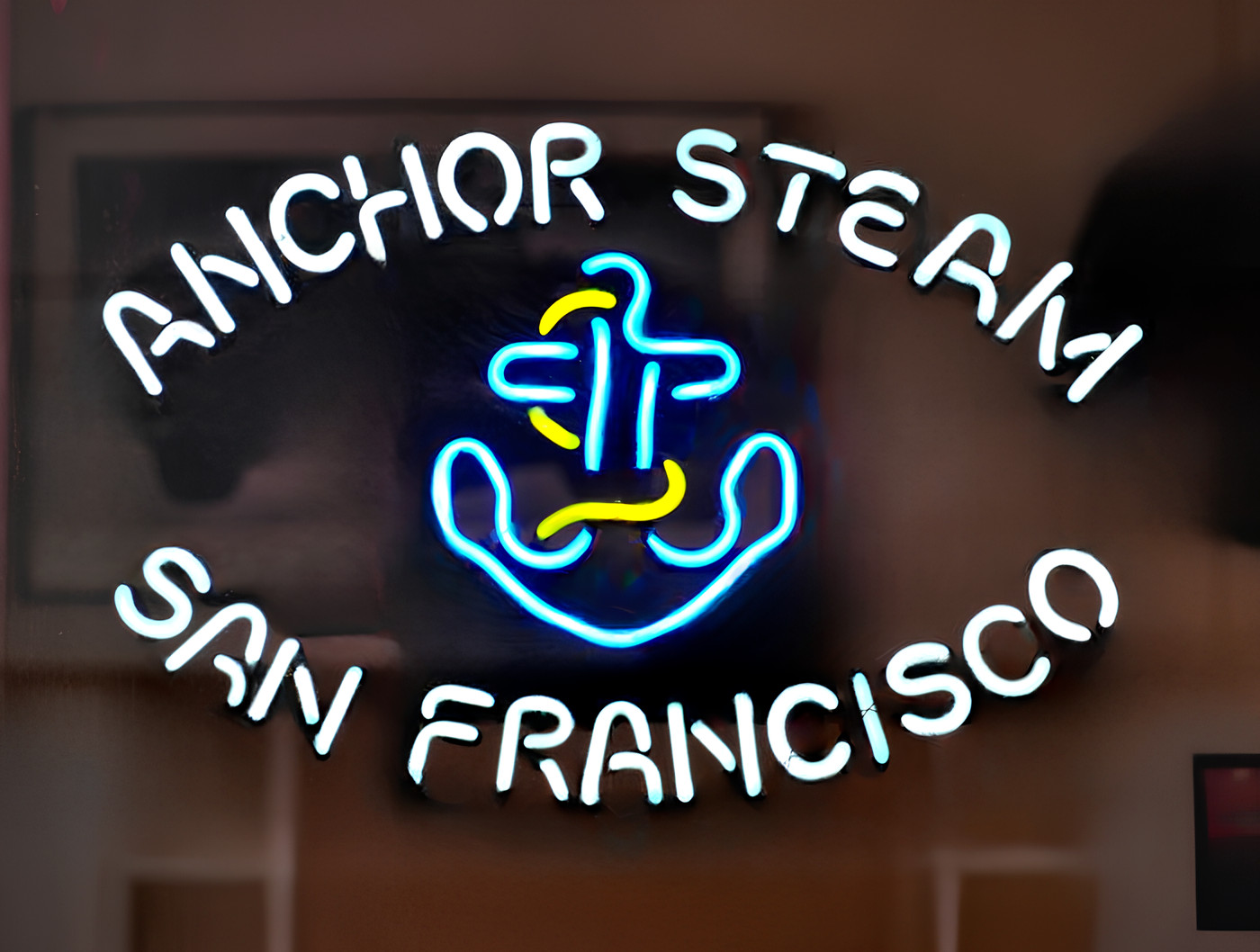 20"x16" Anchor Steam Beer San Francisco Flex LED Neon Sign Light Lamp Bar Club