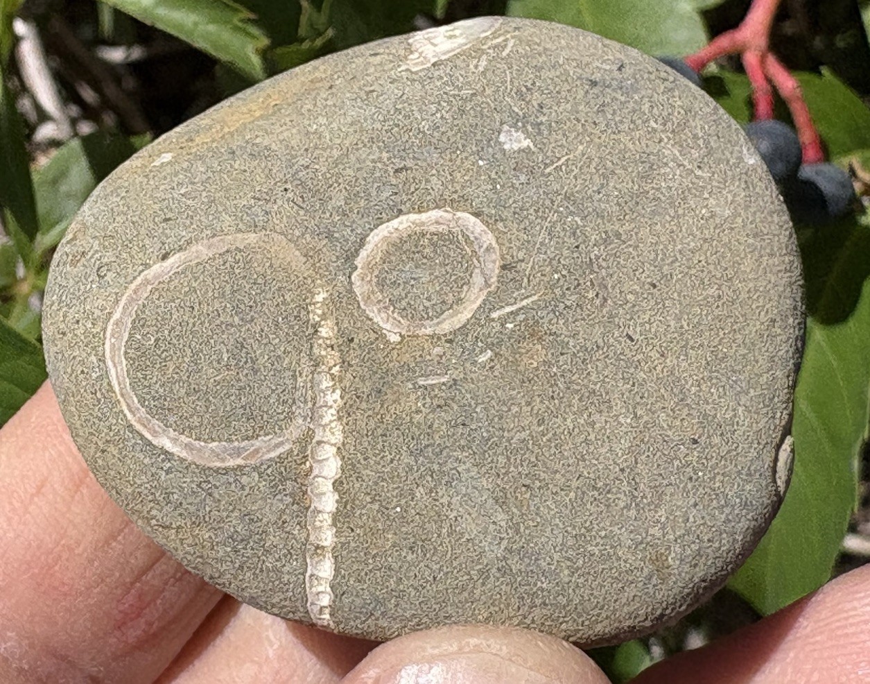 ☘️RR⛏️: The “90 Rock” “Go Rock” Oregon Beach Stone ☘️RR⛏️: The “90 Rock” “Go Rock” Oregon Beach Stone