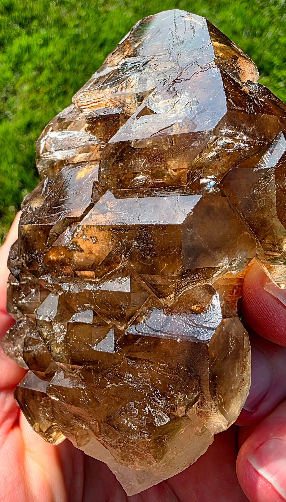 🔥 EXCEPTIONAL SMOKY SKELETAL / FENSTER QUARTZ — BALOCHISTAN, PAKISTAN 🔥 🔥 EXCEPTIONAL SMOKY SKELETAL / FENSTER QUARTZ — BALOCHISTAN, PAKISTAN 🔥