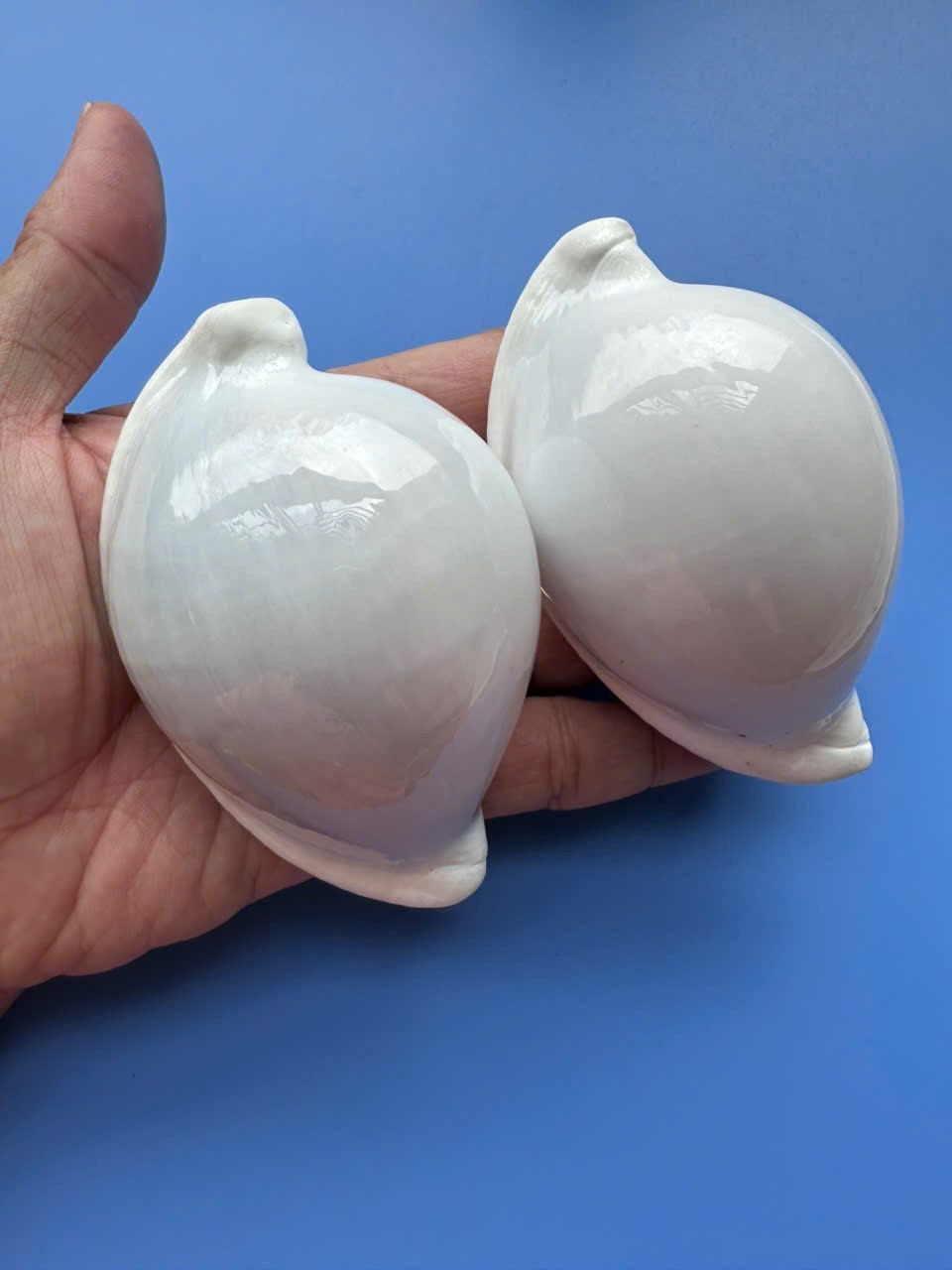 Set of 2 | 91.3mm & 91.6mm| Ovula ovum | GIANT size | Nice Eggshells Set of 2 | 91.3mm & 91.6mm| Ovula ovum | GIANT size | Nice Eggshells