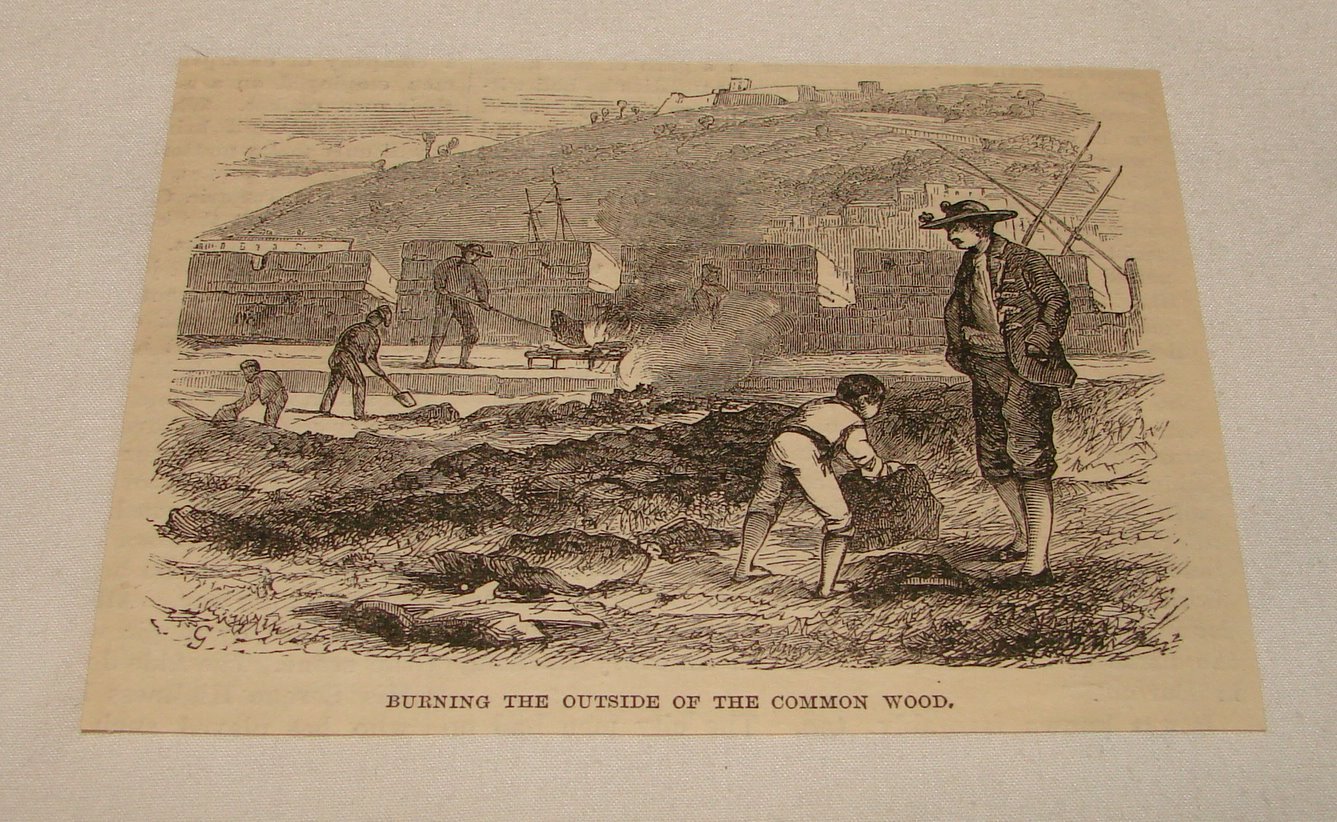1885 magazine engraving ~ BURNING OUTSIDE OF COMMON WOOD, Spain 1885 magazine engraving ~ BURNING OUTSIDE OF COMMON WOOD, Spain
