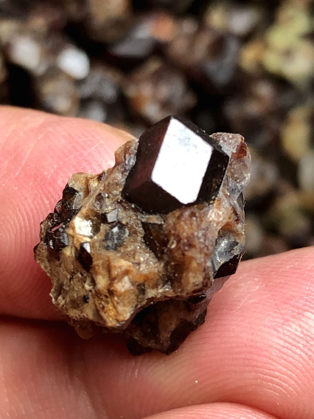 2000g New Find Raw Natural rare Garnet crystal Inner Mongolia t000 2000g New Find Raw Natural rare Garnet crystal Inner Mongolia t000