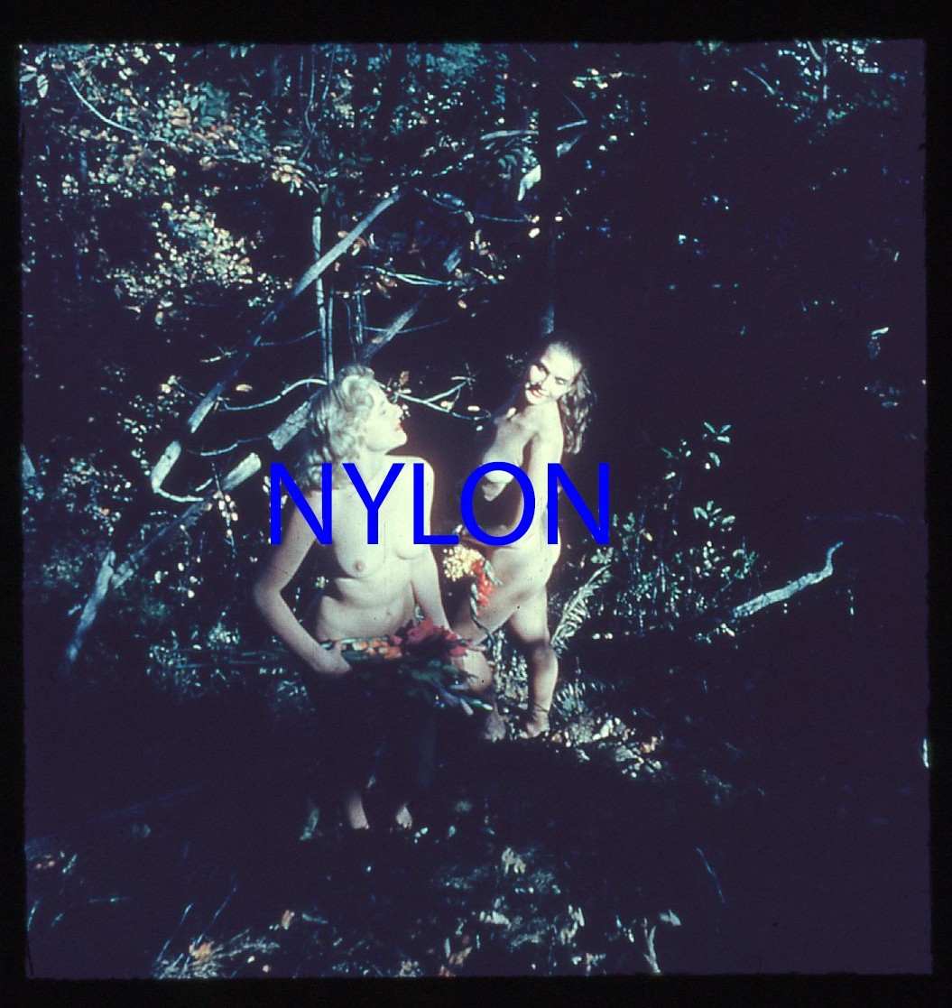 RARE VINTAGE 1950s 3-D STEREO COLOR SLIDE OF KARIN LANE AND ANOTHER MODEL