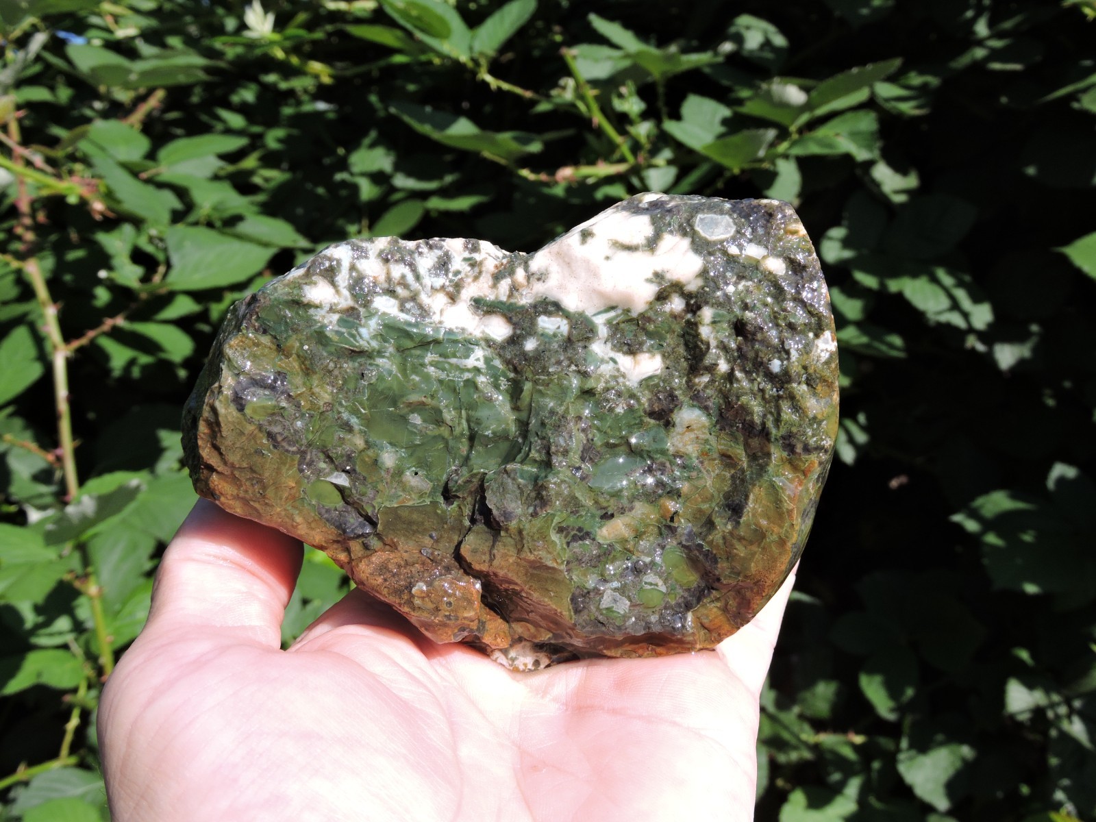1.6Lb OPALIZED Broken Rhyolite Rock Nodule w/ Agate, Common Opal Inclusions 1.6Lb OPALIZED Broken Rhyolite Rock Nodule w/ Agate, Common Opal Inclusions