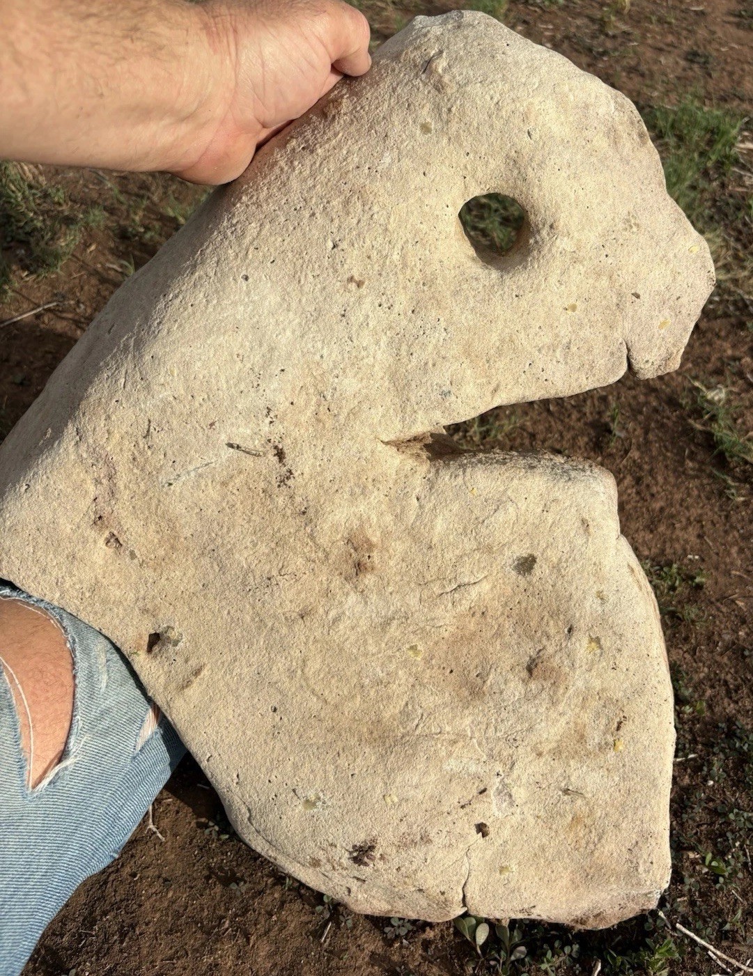☘️RR⛏️: The PAC MAN ROCK Limestone/Sandstone  Anthropomorphic 49 Lb AZ.