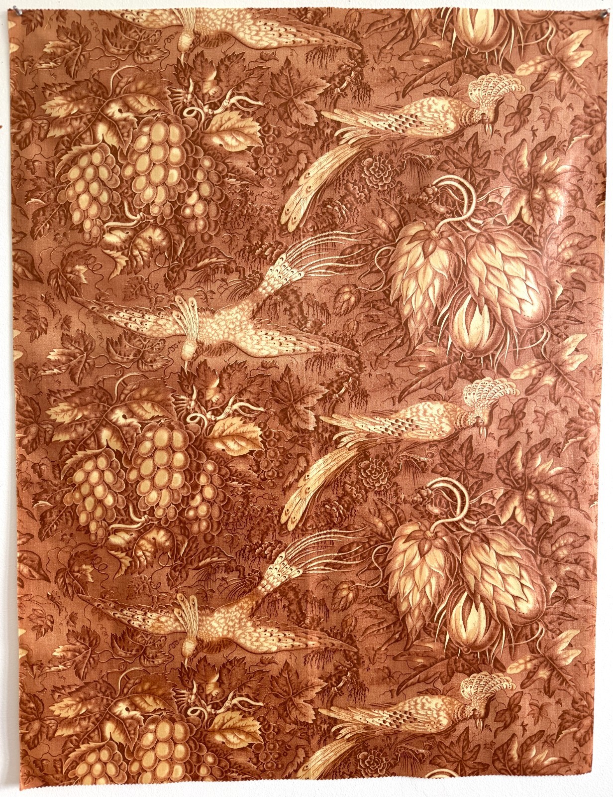 Antique French printed toile cirée / toile enduite Oilcloth Circa 1900