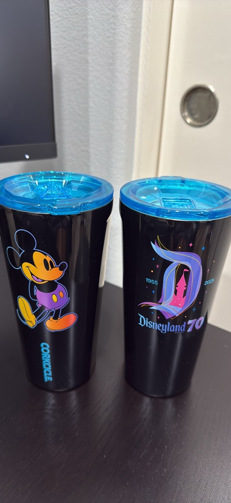Disneyland 70th Anniversary Corkcicle Tumbler - Limited Edition Souvenir. Disneyland 70th Anniversary Corkcicle Tumbler - Limited Edition Souvenir.