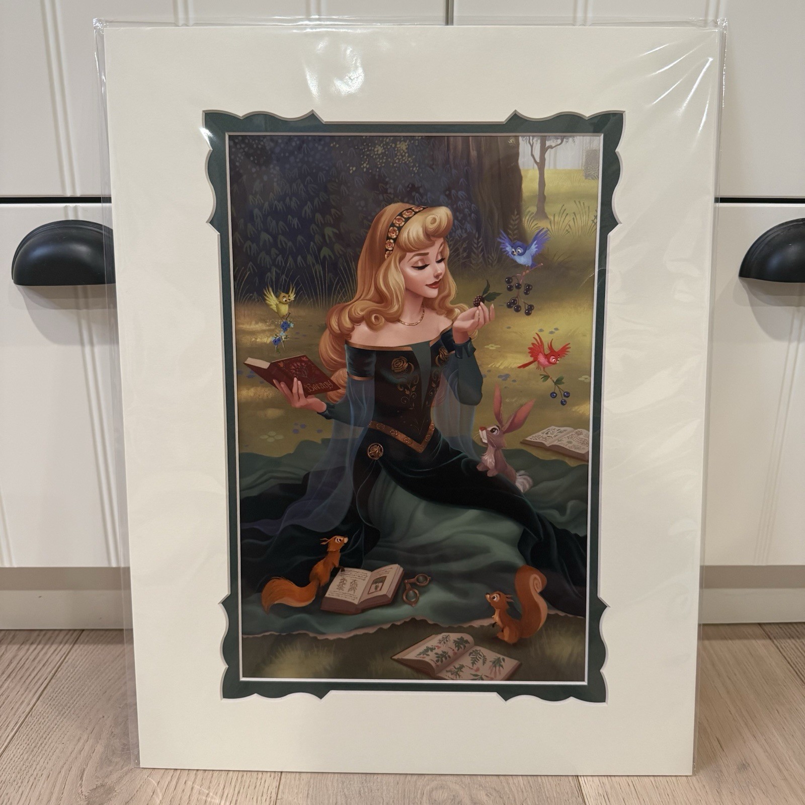 2026 Disney Parks Dylan Bonner Aurora Sleeping Beauty I Wonder Print 14x18" 2026 Disney Parks Dylan Bonner Aurora Sleeping Beauty I Wonder Print 14x18"