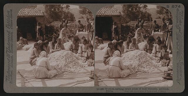 Women sorting large piles of silk cocoons, Antioch, Syria [i.e., Turkey]