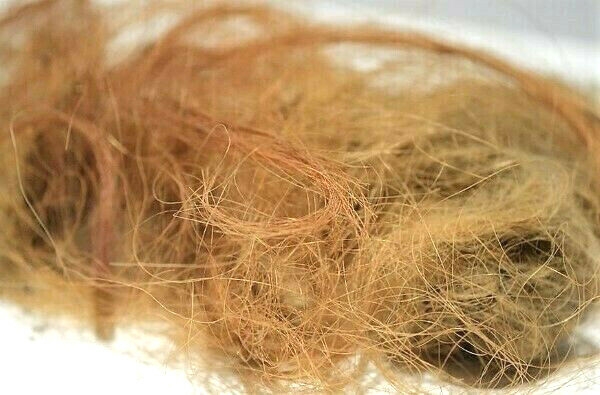 WOOLLY MAMMOTH REAL FUR HAIR WOOLY PERMAFROST RARE LARGE WOOL EXTINCT FOSSIL WOOLLY MAMMOTH REAL FUR HAIR WOOLY PERMAFROST RARE LARGE WOOL EXTINCT FOSSIL
