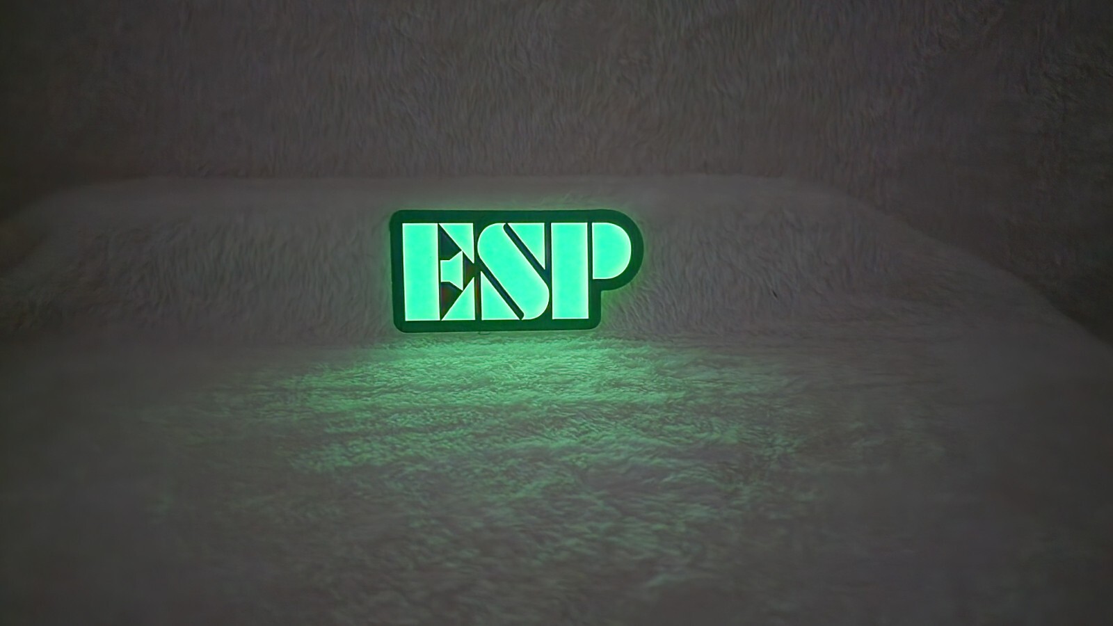 ESP Guitars Glow In The Dark Sticker