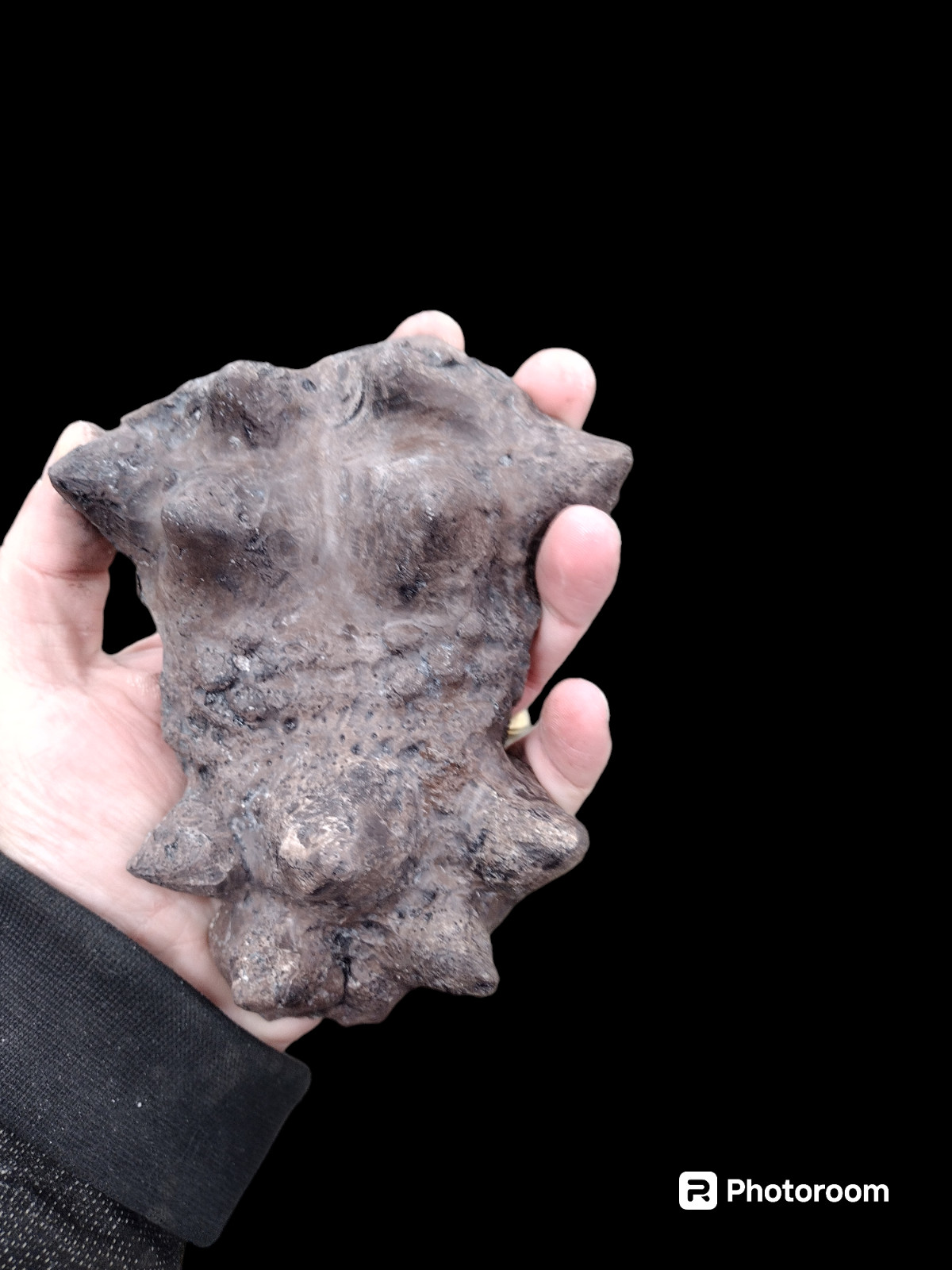 Dracorex hogwartsia Nasal horns fossil replica -Dinosaurs-Paleontology