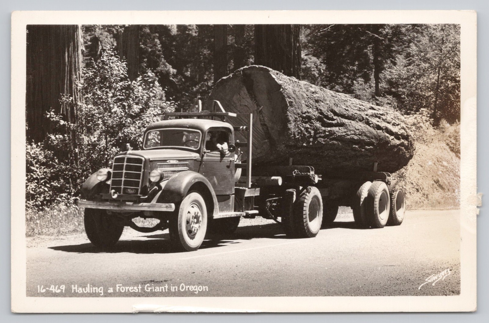 Oregon Hauling Forest Giant Logging Truck RPPC Real Photo Postcard Oregon Hauling Forest Giant Logging Truck RPPC Real Photo Postcard