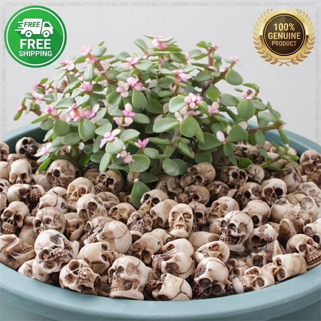 20Pcs Mini Skeleton Head Small Mini Skulls Same Day πβ
20Pcs Mini Skeleton Head Small Mini Skulls Same Day πβ