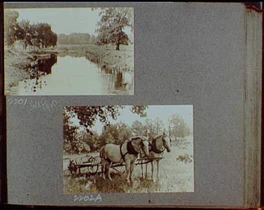 Photo:1919-1920 Stream Through Grasses Horse Team Plow Rural Landscape Photo:1919-1920 Stream Through Grasses Horse Team Plow Rural Landscape