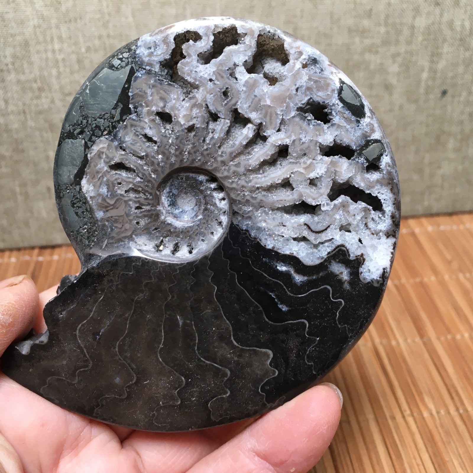 136g  Natural polishing black Stone sculptor decoration specimen fb1941
