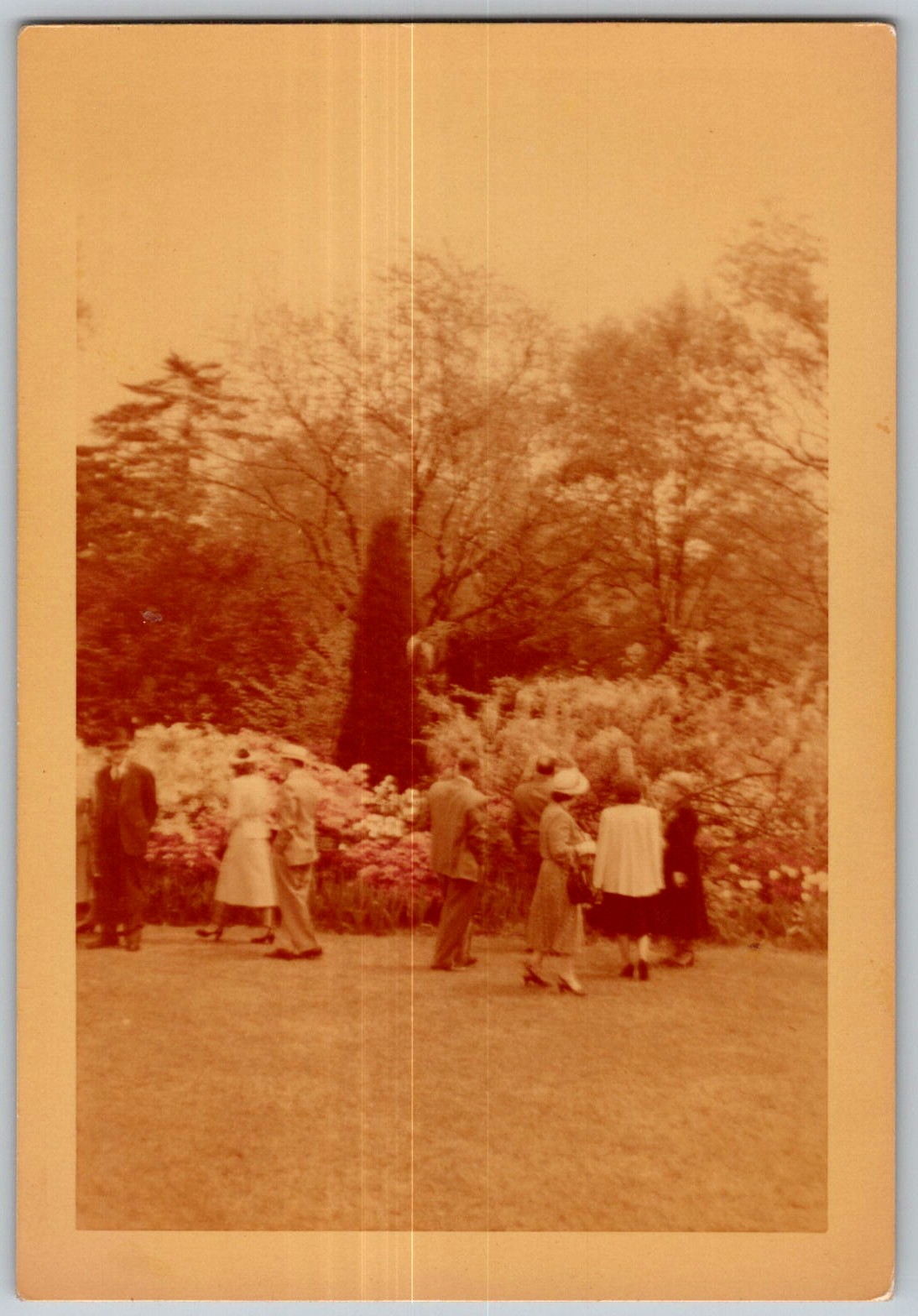 Vtg Color Snapshot Group Walking Botanical Garden Flower Garden Spring Hats Vtg Color Snapshot Group Walking Botanical Garden Flower Garden Spring Hats