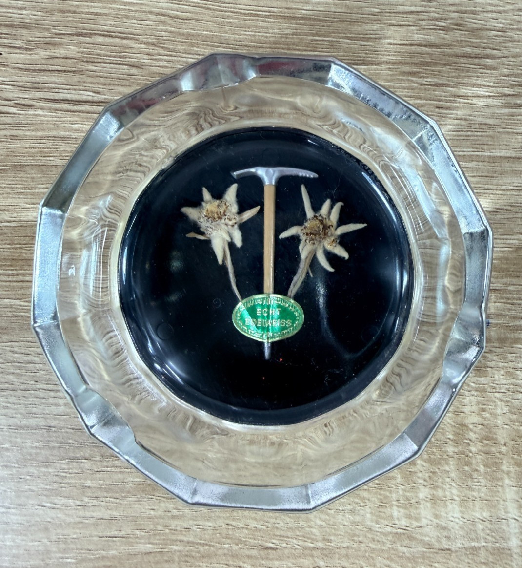 Vintage Echt Edelweiss Glass Ashtray Real Dried Flowers Ice Axe Alpine Souvenir Vintage Echt Edelweiss Glass Ashtray Real Dried Flowers Ice Axe Alpine Souvenir