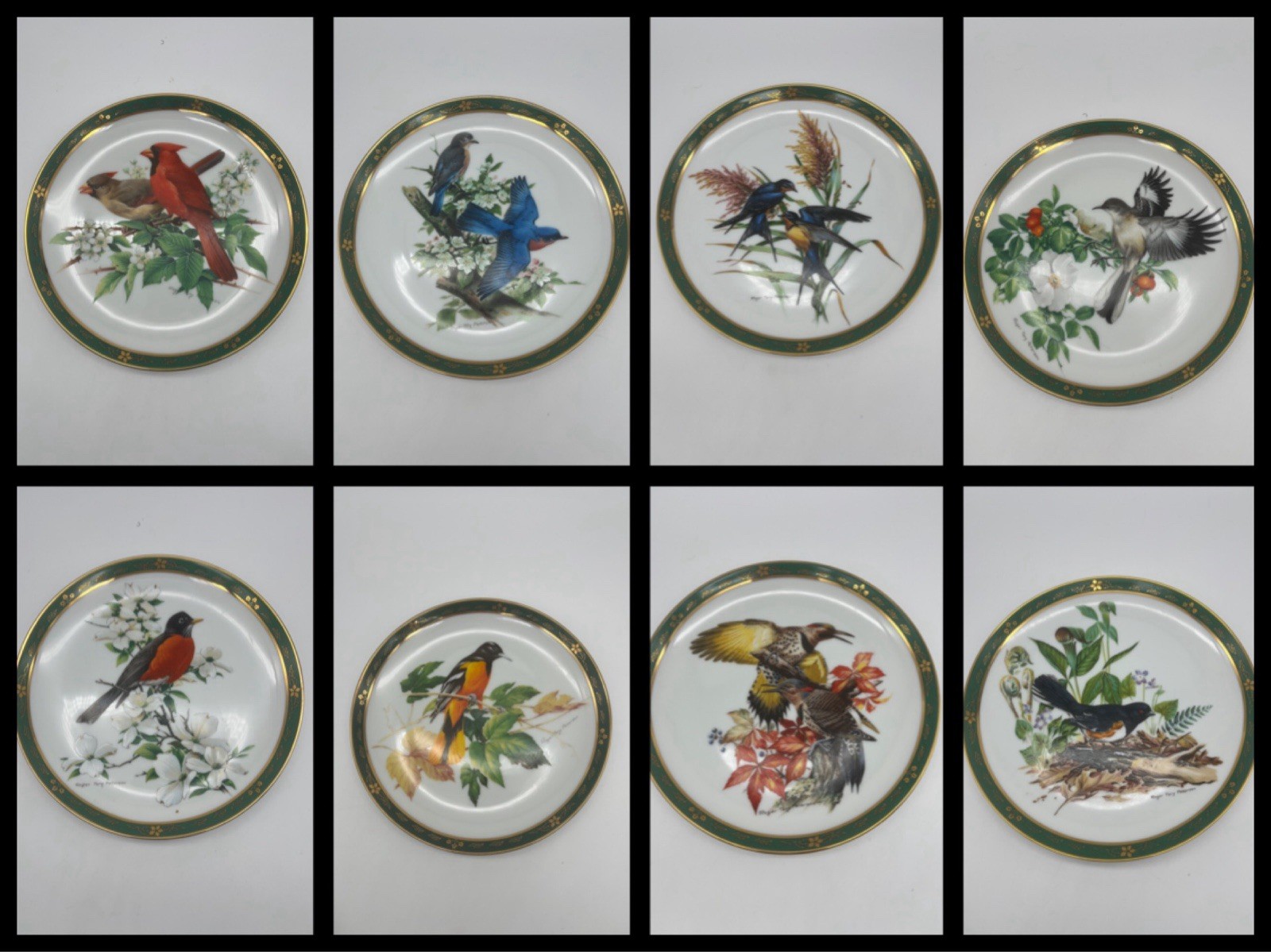 Set Of 8 Vintage 1990 The Songbirds Of Roger Tory Peterson Danbury Mint Plates Set Of 8 Vintage 1990 The Songbirds Of Roger Tory Peterson Danbury Mint Plates