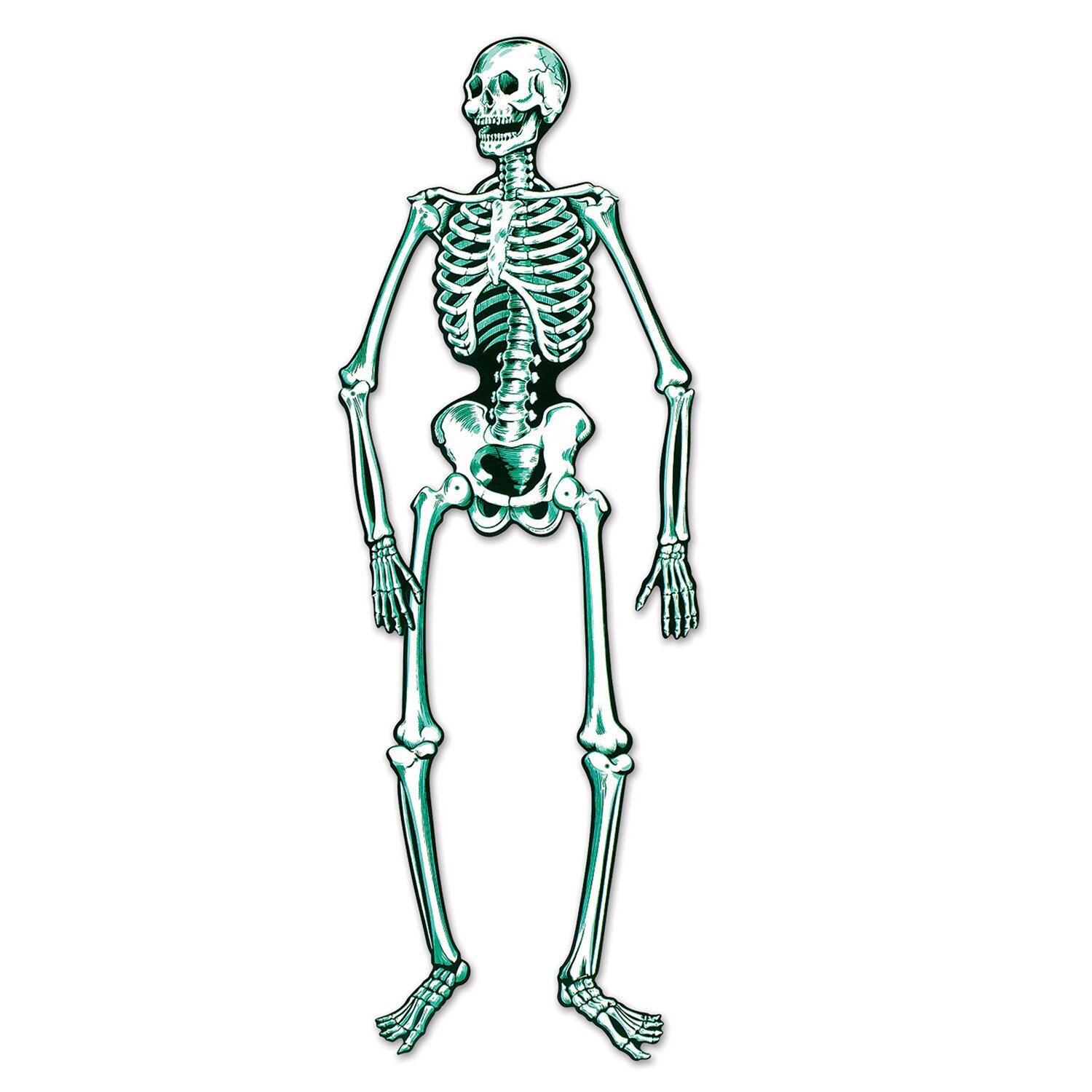 55 Inch Multi Color Jointed Skeleton Cutout Decoration for Halloween Party 55 Inch Multi Color Jointed Skeleton Cutout Decoration for Halloween Party