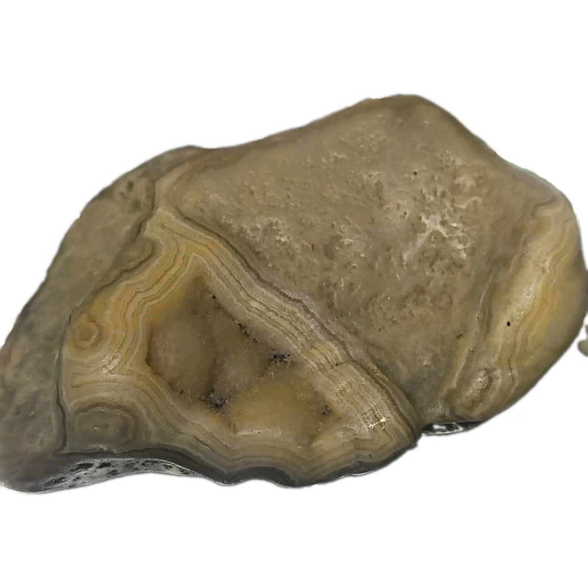 Natural Rough Agate Specimen Grey Rare Tennessee Memphis Mineral Natural Rough Agate Specimen Grey Rare Tennessee Memphis Mineral