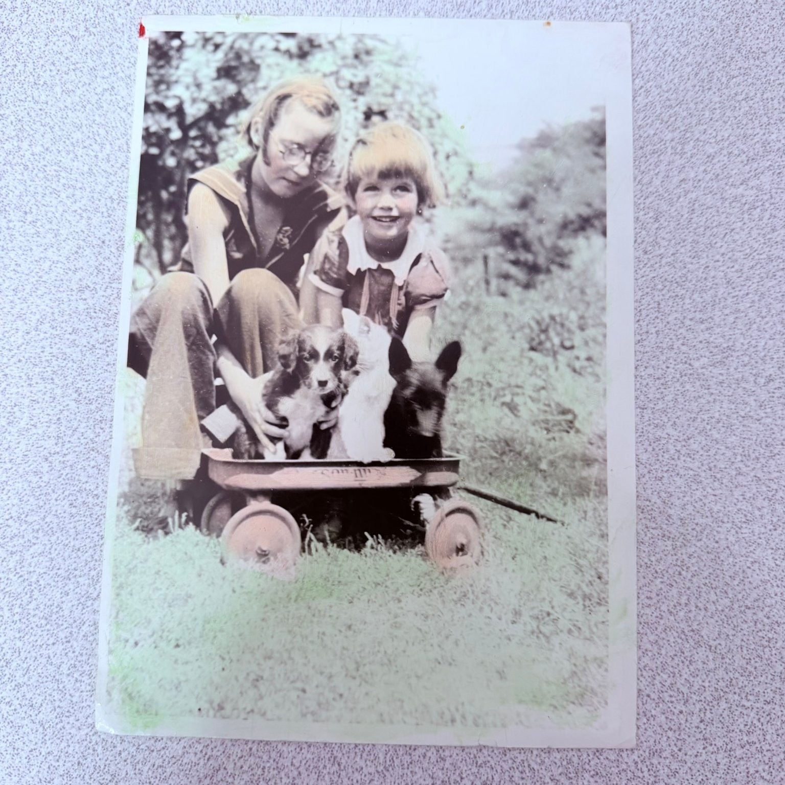 1940s Hand-Tinted Snapshot Photograph Children Puppies Toy Wagon