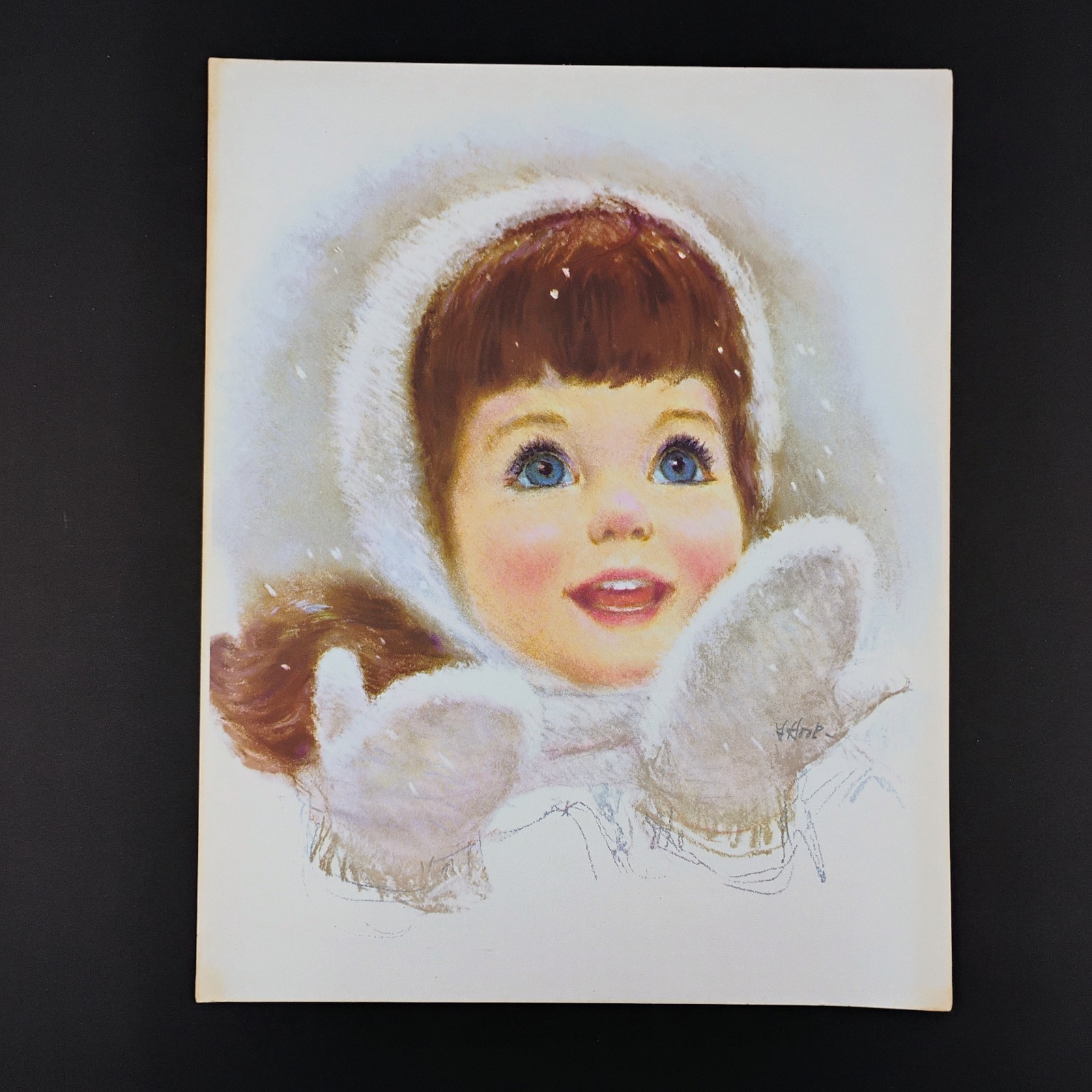 VTG Set 7 Northern Paper Mills "American Beauties" 1960s Prints by Frances Hook VTG Set 7 Northern Paper Mills "American Beauties" 1960s Prints by Frances Hook