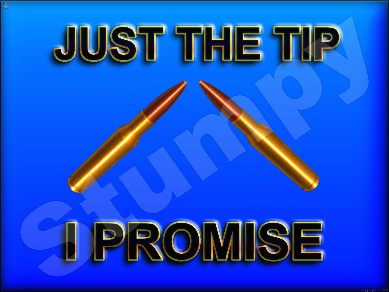 Just The Tip I Promise Metal Sign 9" x 12" or 12" x 16" Just The Tip I Promise Metal Sign 9" x 12" or 12" x 16"