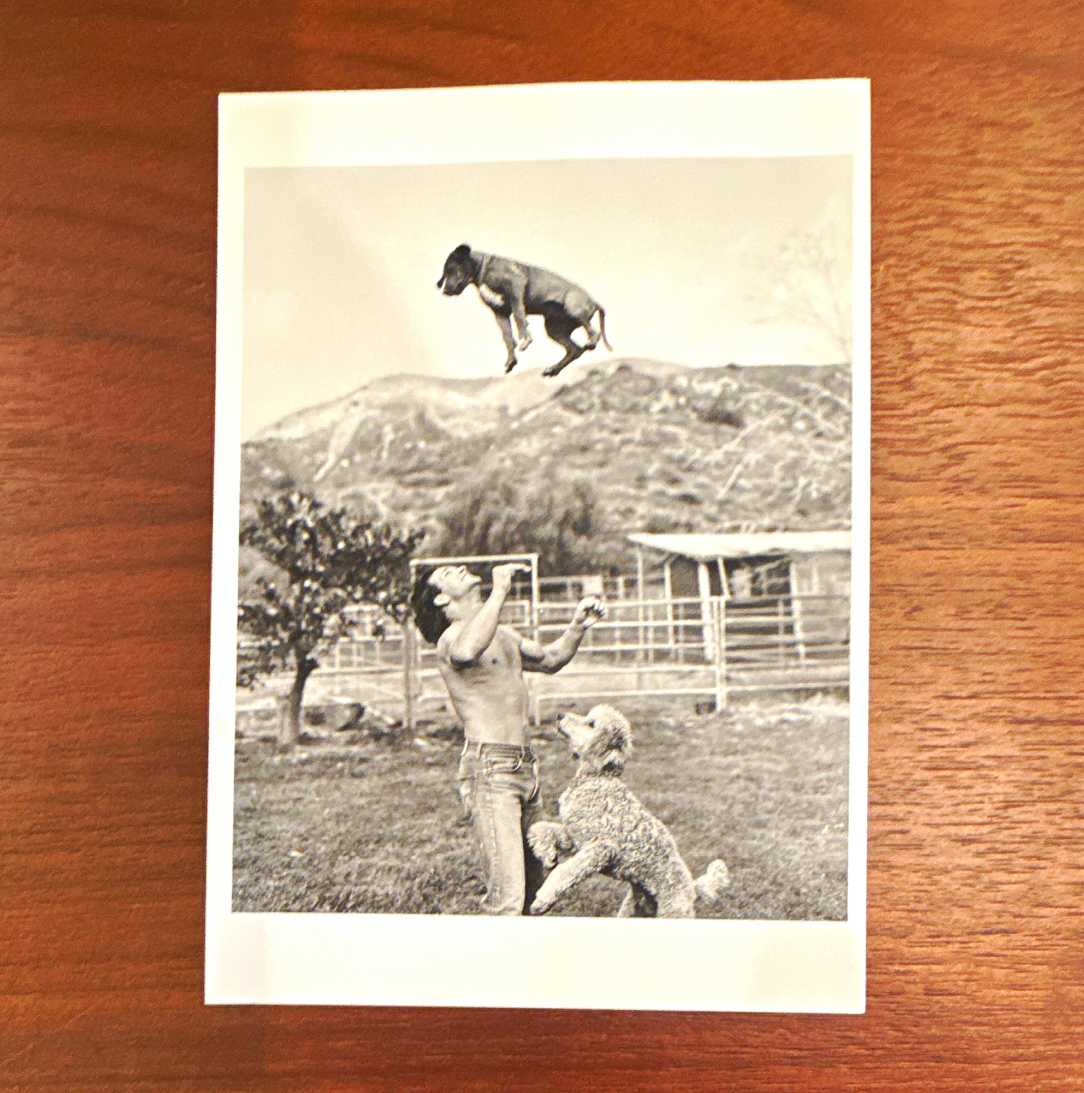 Bruce Weber 1985 Patrick Swayze Postcard Bruce Weber 1985 Patrick Swayze Postcard