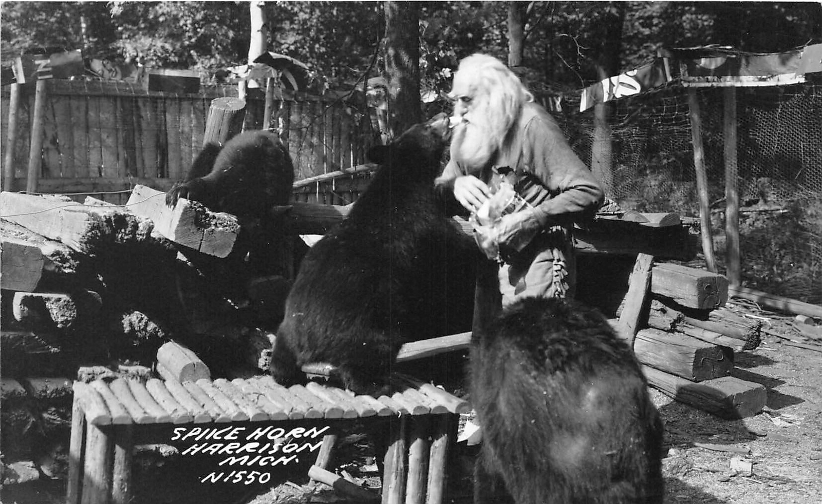 H32/ Harrison Michigan RPPC Postcard c40s Spikehorn Black Bear Den 4 H32/ Harrison Michigan RPPC Postcard c40s Spikehorn Black Bear Den 4
