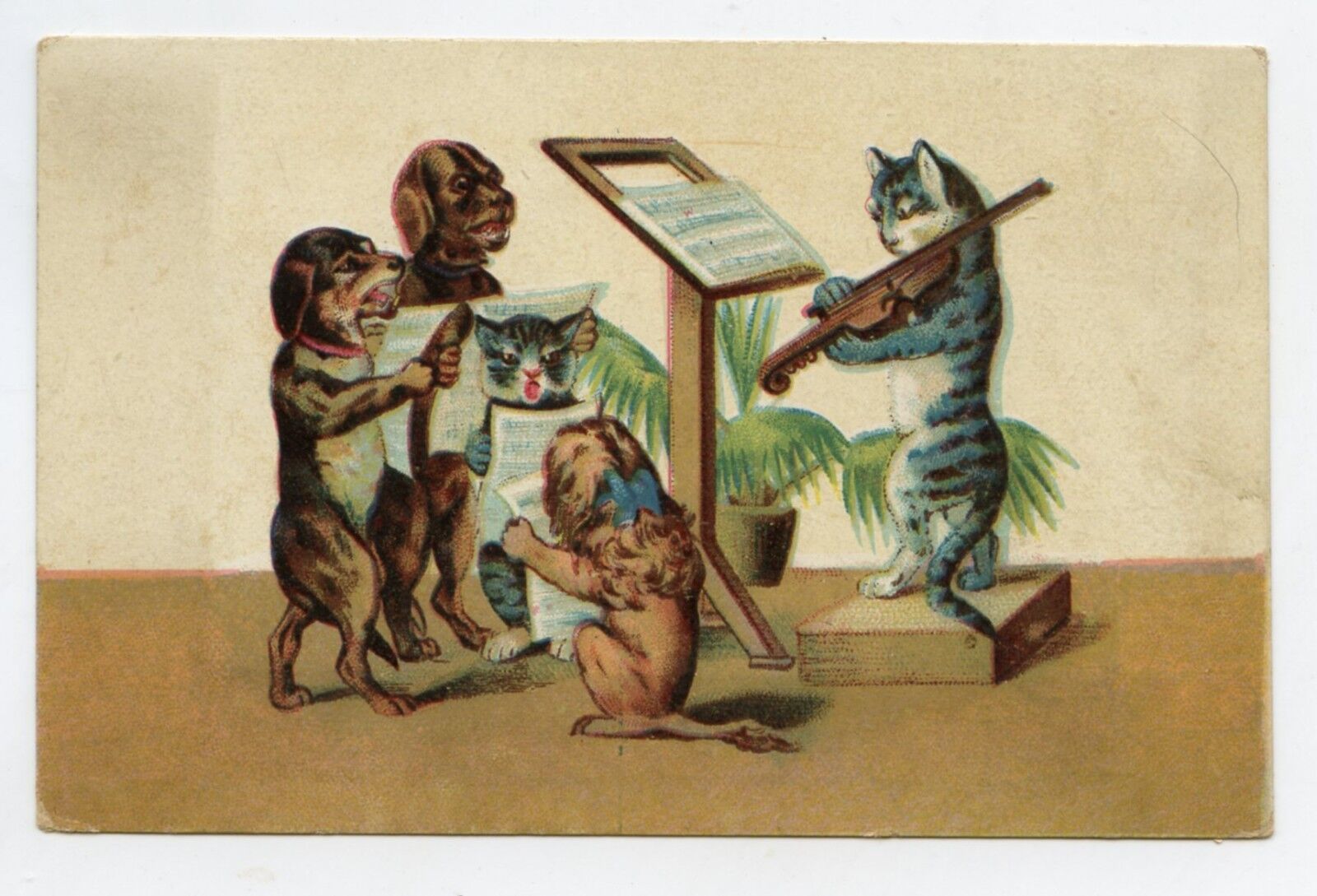 La Chorale. Cats. Pyrenean Shepherd Dachshund. Dachshund. Dogs. Cats. the Choir