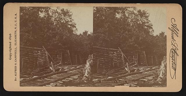 Photo:Dismal Swamp Lumbermen's Houses 1900s Log Cabin Logging Camp Photo:Dismal Swamp Lumbermen's Houses 1900s Log Cabin Logging Camp