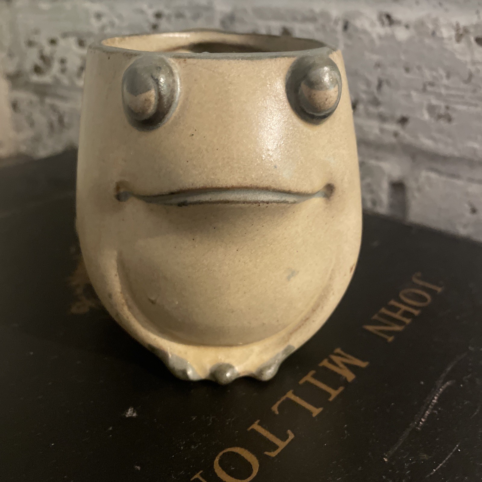 Ceramic Frog Coffee Mug by UCTCI - Japan