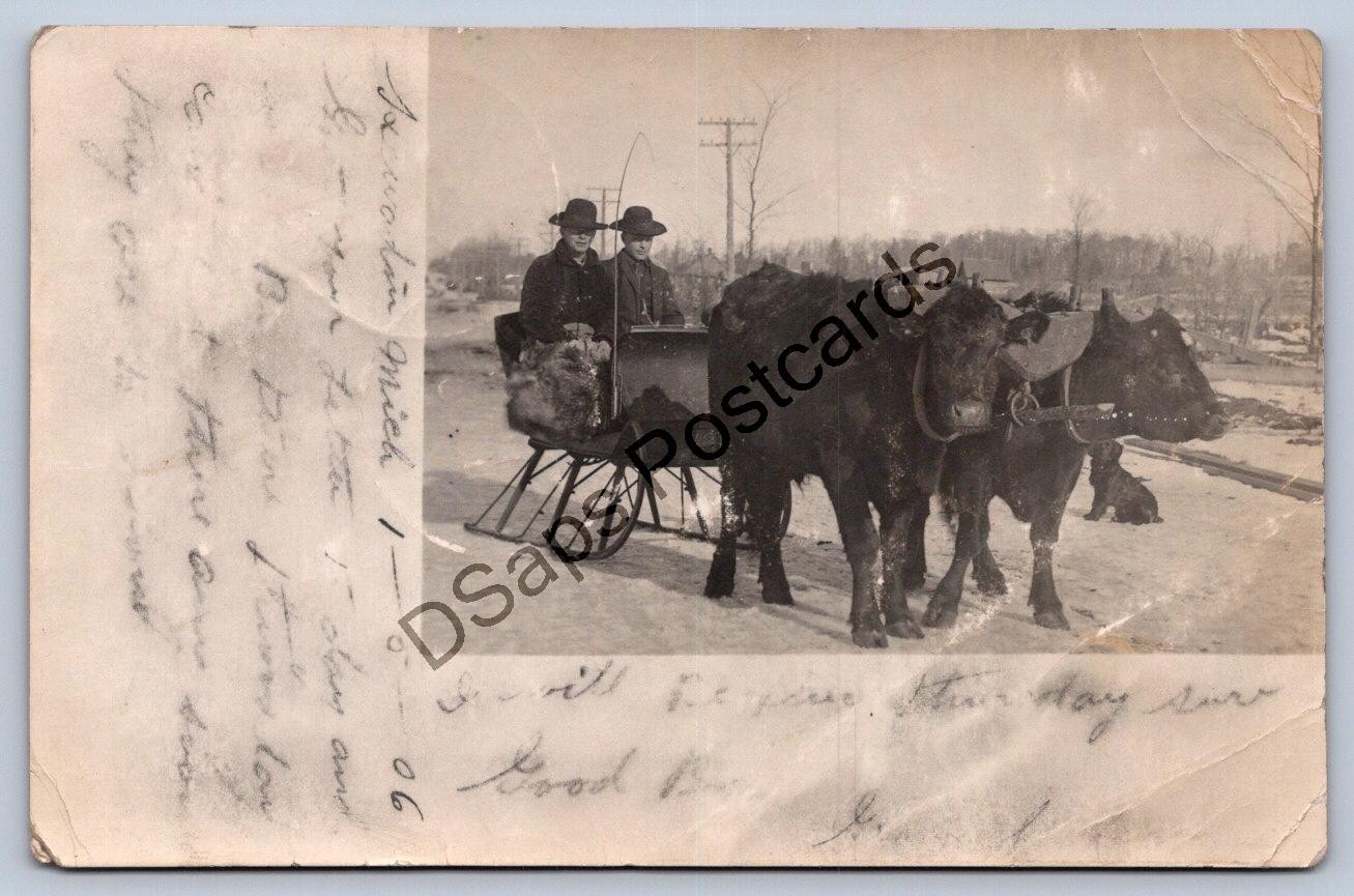 K61/ Kewadin Michigan RPPC Postcard c1910 Cattle-Drawn Snow Sleigh 183 K61/ Kewadin Michigan RPPC Postcard c1910 Cattle-Drawn Snow Sleigh 183