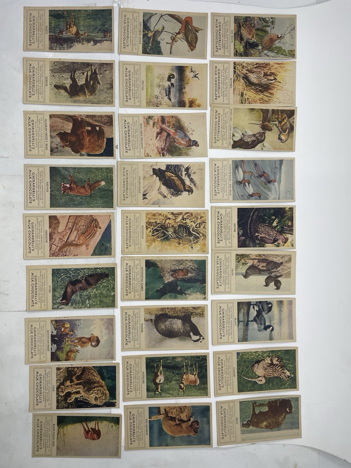 Lot Of 27 Antique 1920s E161 Ghirardelli Chocolate N. American Wildlife Cards Lot Of 27 Antique 1920s E161 Ghirardelli Chocolate N. American Wildlife Cards