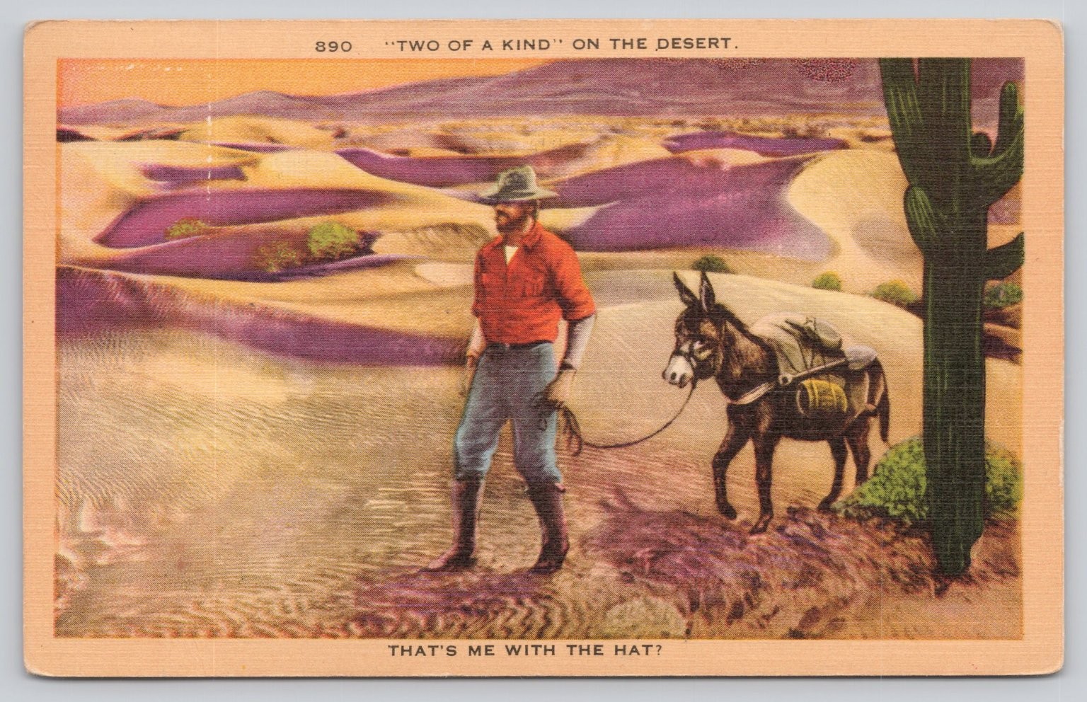 Vintage 1941 Escondido CA "Two of a Kind" Desert Cowboy Donkey Postcard Vintage 1941 Escondido CA "Two of a Kind" Desert Cowboy Donkey Postcard
