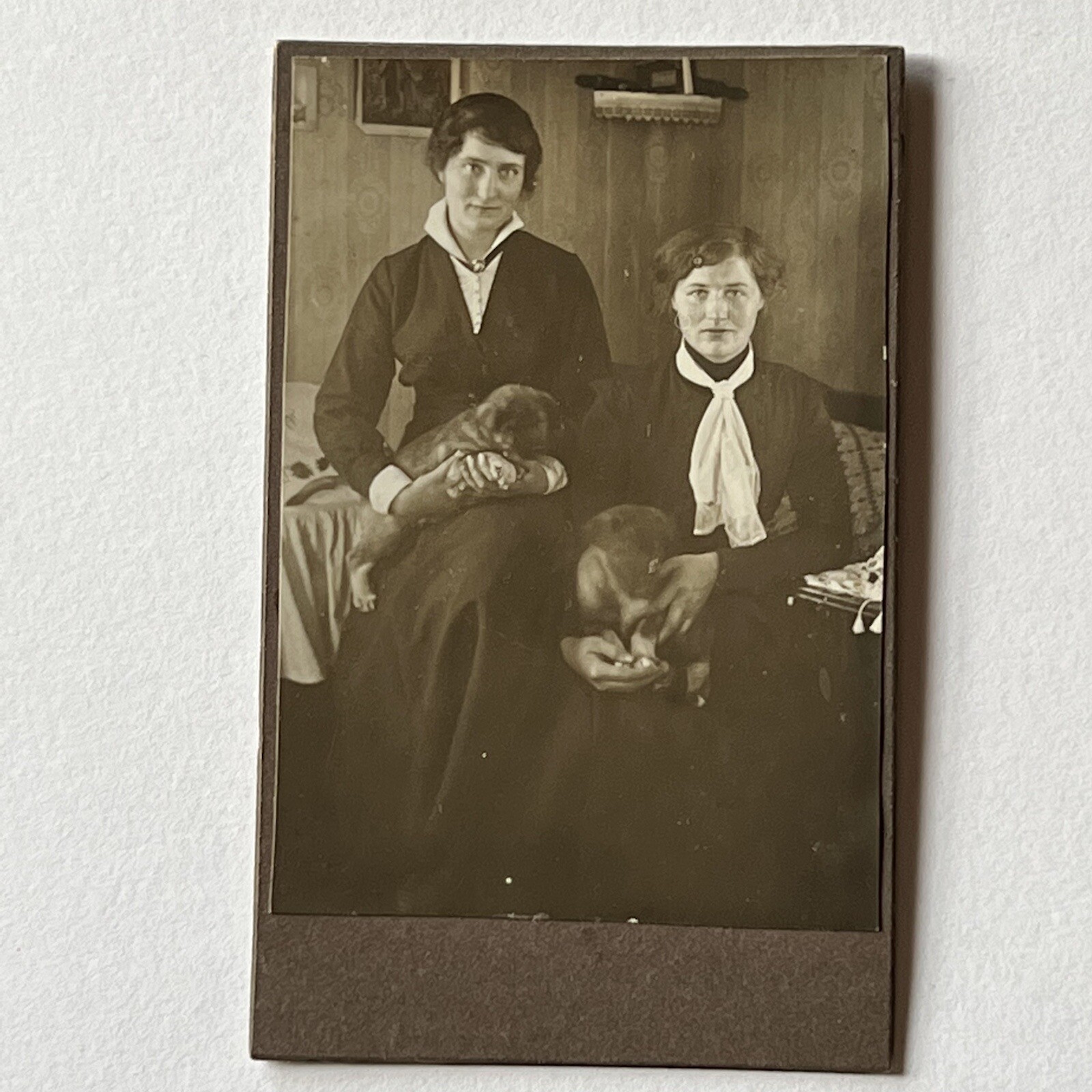 Antique CDV Photograph Beautiful Young Women & Puppies Sweet Small Pair Of Dogs Antique CDV Photograph Beautiful Young Women & Puppies Sweet Small Pair Of Dogs