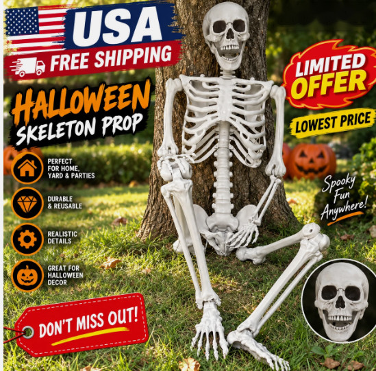 5.4ft Halloween Skeleton Full Body Life Size Skeleton Bones with Movable Joints 5.4ft Halloween Skeleton Full Body Life Size Skeleton Bones with Movable Joints