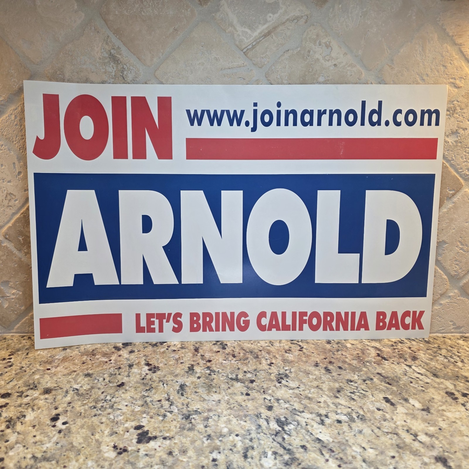 Arnold Schwarzenegger Campaign Sign California Governor 2003