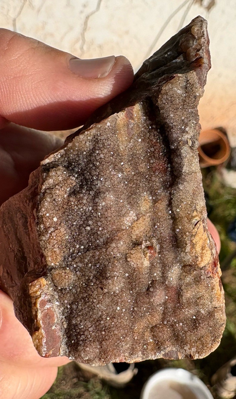 ☘️RR⛏️: Druzy Quartz On Arizona Petrified Wood, 13.4 Oz. 🌈 ☘️RR⛏️: Druzy Quartz On Arizona Petrified Wood, 13.4 Oz. 🌈