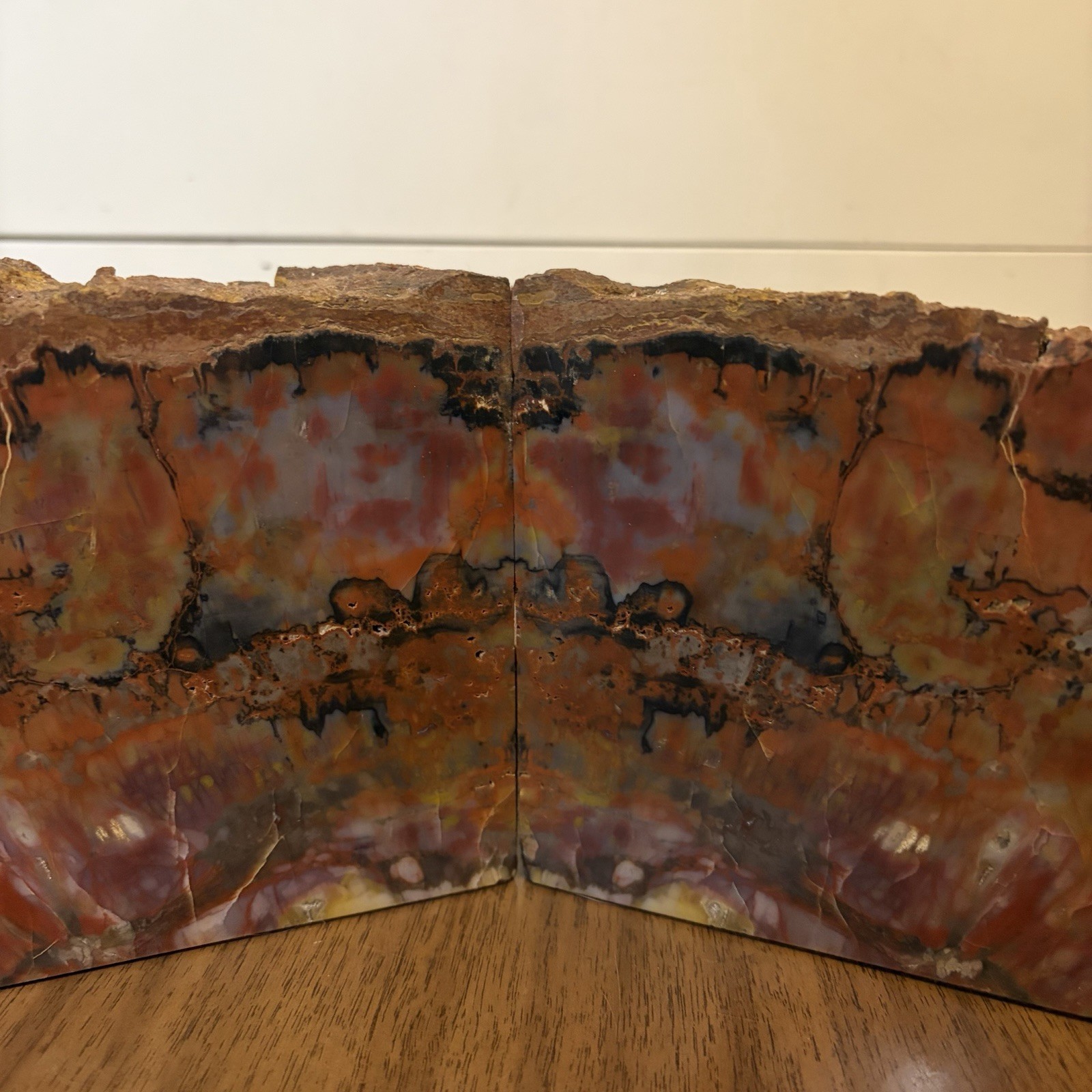 Arizona Rainbow Petrified Wood Bookends Bookmatched Pair Large Polished Fossil Arizona Rainbow Petrified Wood Bookends Bookmatched Pair Large Polished Fossil