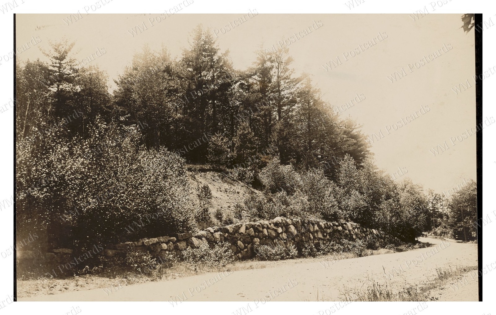 Sharon Massachusetts circa 1900s Stone Wall Roadside Woods Standard Postcard Sharon Massachusetts circa 1900s Stone Wall Roadside Woods Standard Postcard