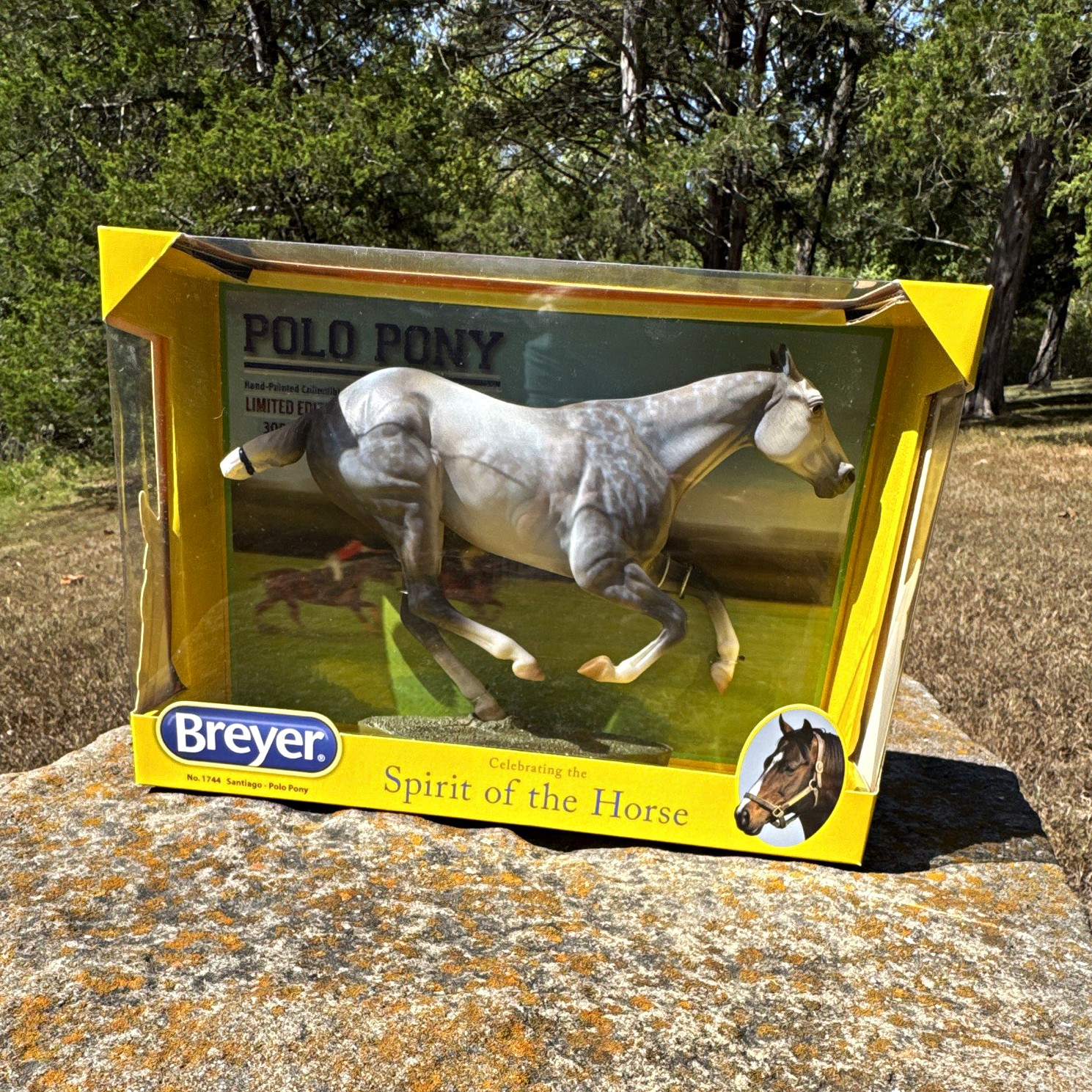 Breyer “Santiago” Polo Pony Traditional 1:9 Scale Model Horse No. 1744 Breyer “Santiago” Polo Pony Traditional 1:9 Scale Model Horse No. 1744