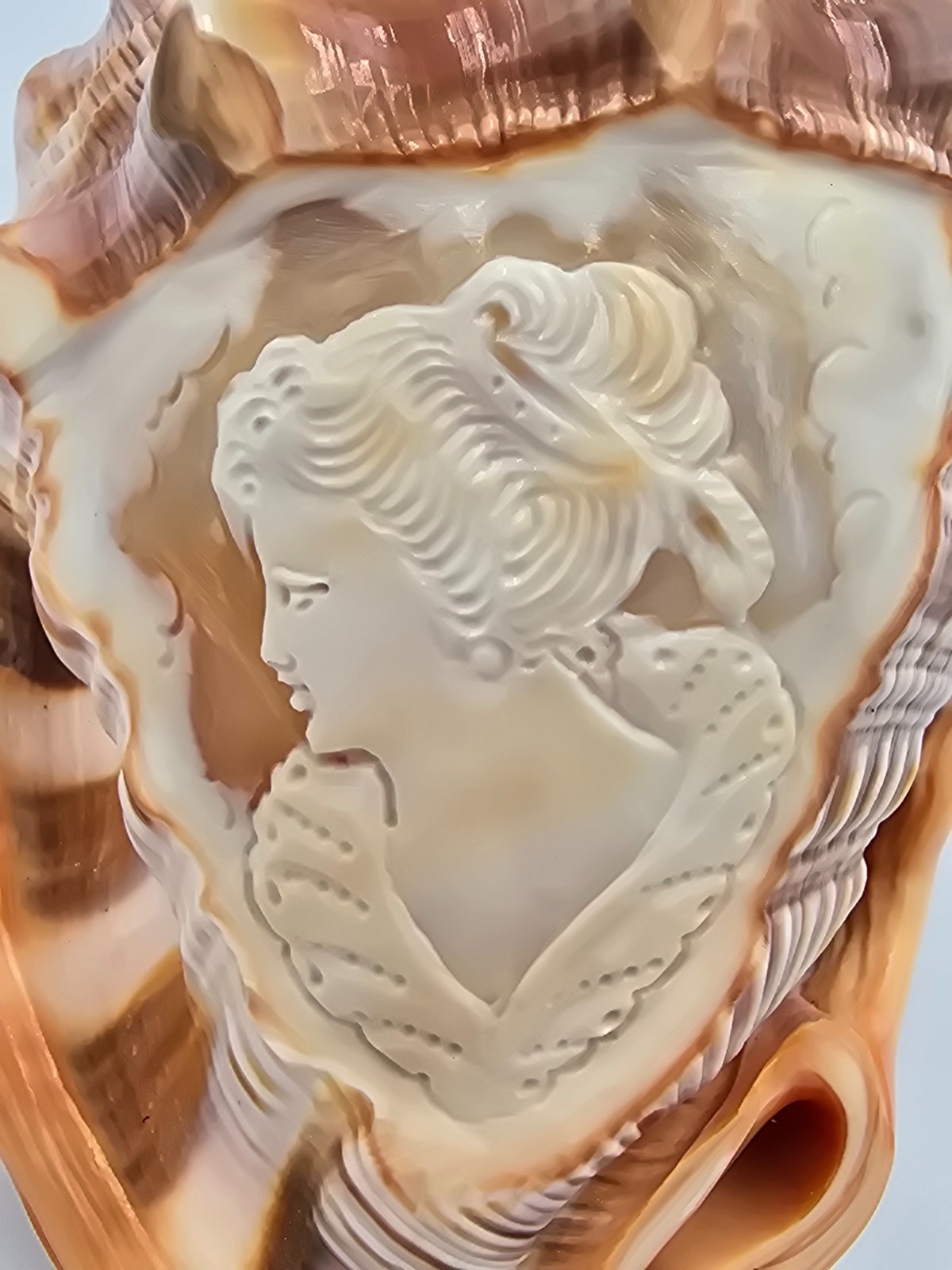Large Hand Carved Seashell Cameo Figurine Victorian Lady Profile Decorative Large Hand Carved Seashell Cameo Figurine Victorian Lady Profile Decorative
