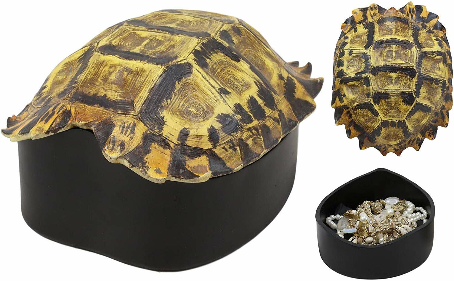 Nautical Reptile Realistic Elongated Tortoise Shell Decorative Box Figurine 8"L