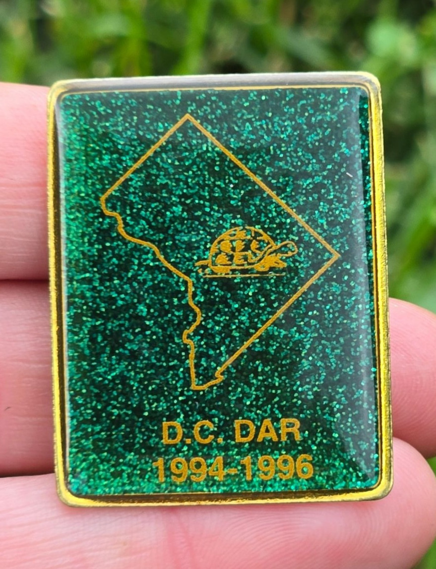 Daughters of the American Revolution DAR DC Green turtle Pin Brooch DC Vintage Daughters of the American Revolution DAR DC Green turtle Pin Brooch DC Vintage