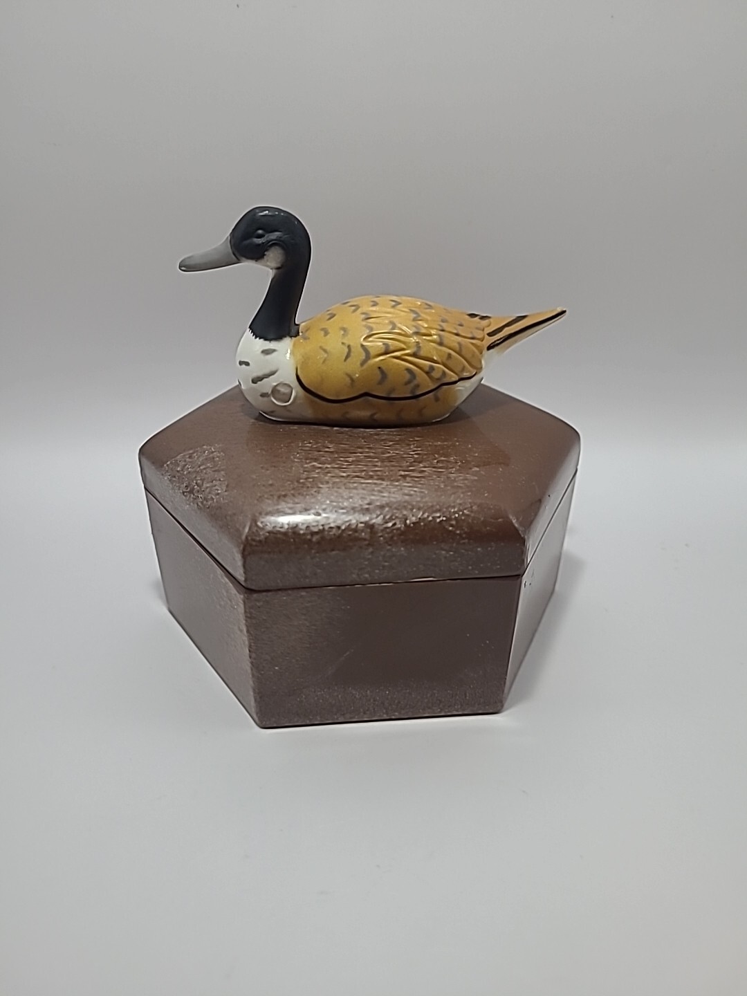 Unique Vintage Plastic Trinket Duck Container