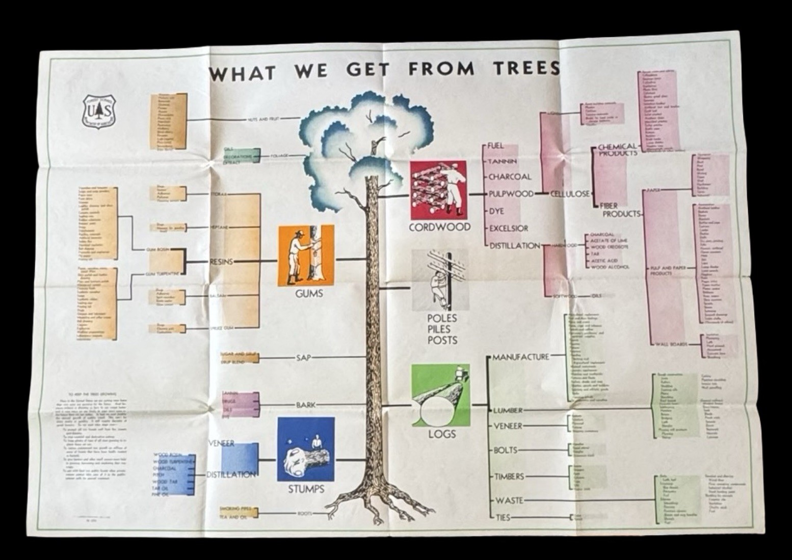 Vintage 1946 USDA Poster “What We Get From Trees” M-5293 Forest Service 1st Ed Vintage 1946 USDA Poster “What We Get From Trees” M-5293 Forest Service 1st Ed