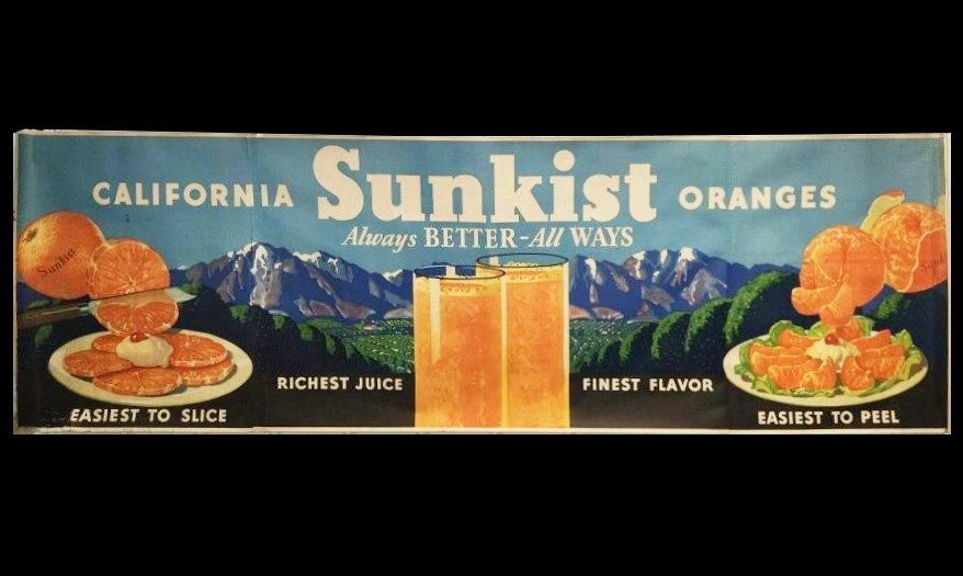 HUGE 114" Sunkist Oranges Banner Poster Advertising Grocery Store Display Vtg HUGE 114" Sunkist Oranges Banner Poster Advertising Grocery Store Display Vtg