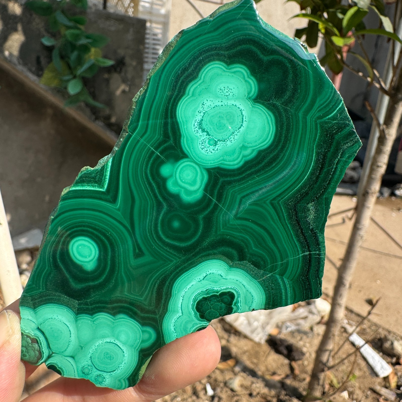 120G Natural Green Malachite Slab Quartz Crystal piece Ore Specimen Healing
